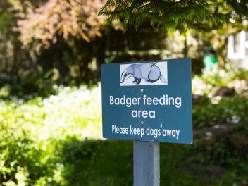 Badger feeding area sign 5468