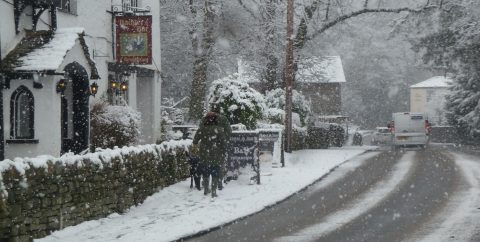 Snowy Badger Bar