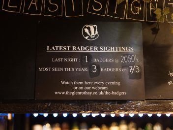 Badger sightings notice 5495