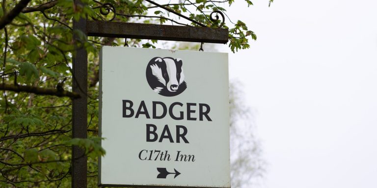Badger road sign