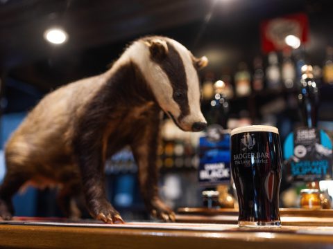 Bertie on bar with pint 4557